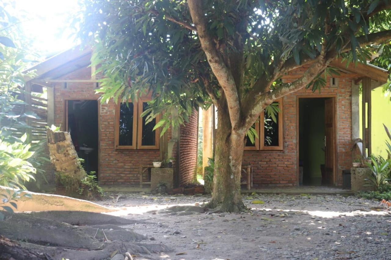 Jhony'S Backpacker-Guest House Only Stay Here Book Treking With Us Bukit Lawang Exterior foto