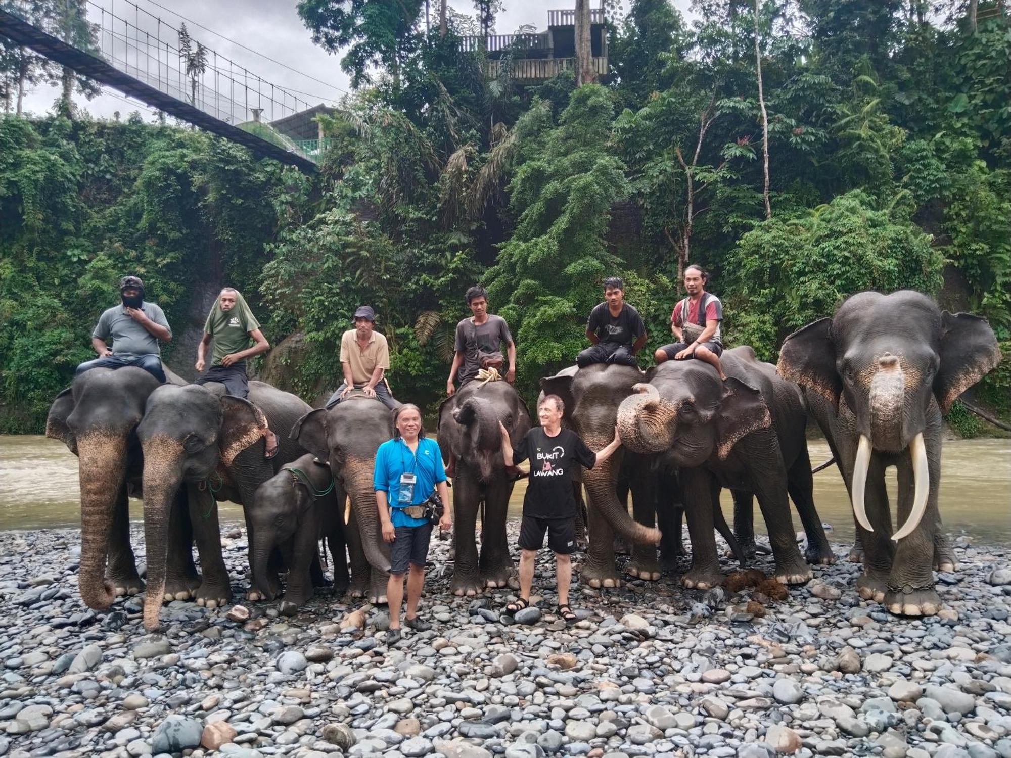Jhony'S Backpacker-Guest House Only Stay Here Book Treking With Us Bukit Lawang Exterior foto