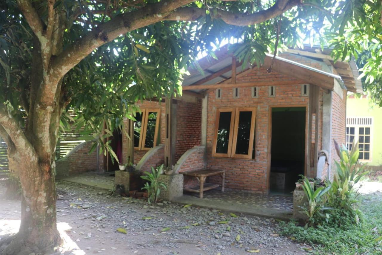 Jhony'S Backpacker-Guest House Only Stay Here Book Treking With Us Bukit Lawang Exterior foto